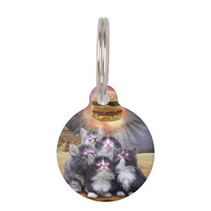 Egyptian cats looking at a hamburger pet tag