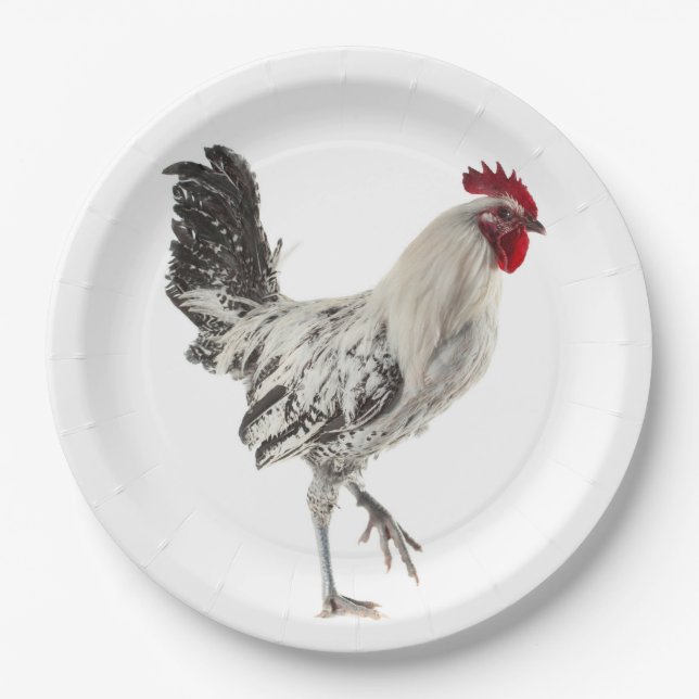 Egyptian Fayoumis Rooster Paper Plate (Front)