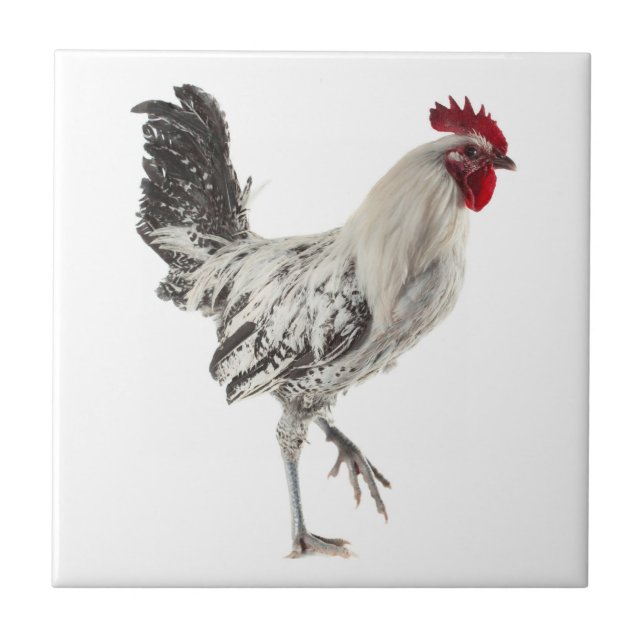 Egyptian Fayoumis Rooster Tile (Front)