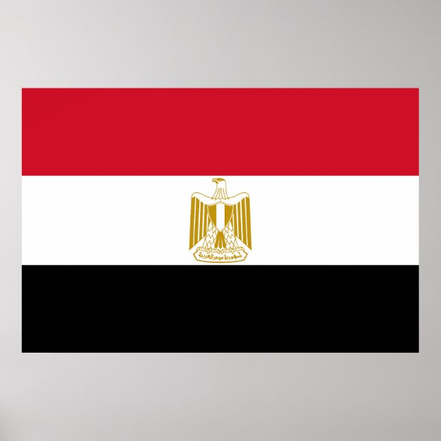 Egyptian flag poster (Front)