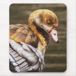 Egyptian Goose Close-Up Wildlife Bird Nature Art  Mouse Mat