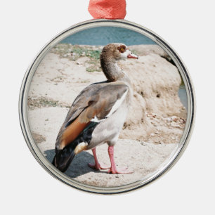 Egyptian Goose Metal Tree Decoration