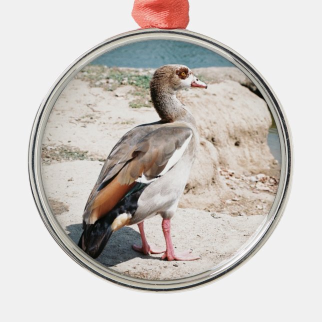 Egyptian Goose Metal Tree Decoration (Front)