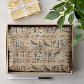 Egyptian hieroglyphics Birds Pattern 2 Tissue Paper
