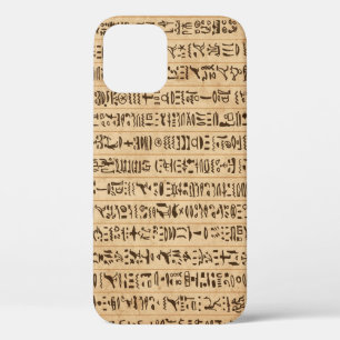 Egyptian Hieroglyphs: Grunge Seamless Magic iPhone 12 Case