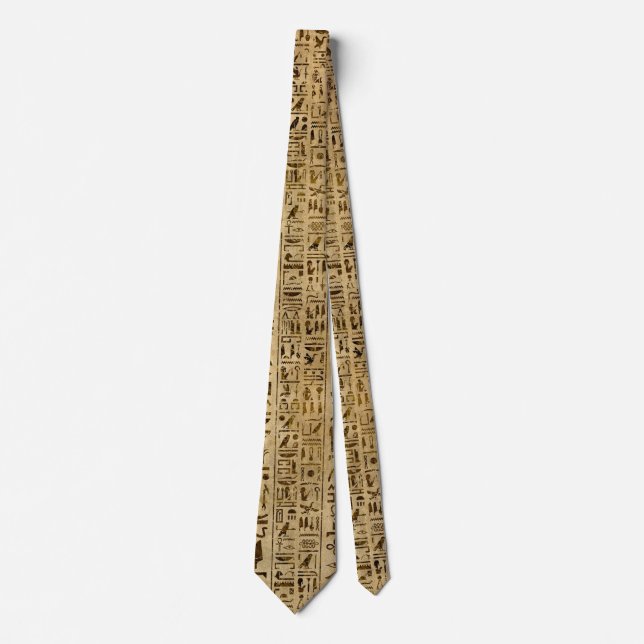 Egyptian hieroglyphs on papyrus tie (Front)