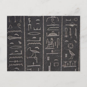 Egyptian Hieroglyphs Postcard