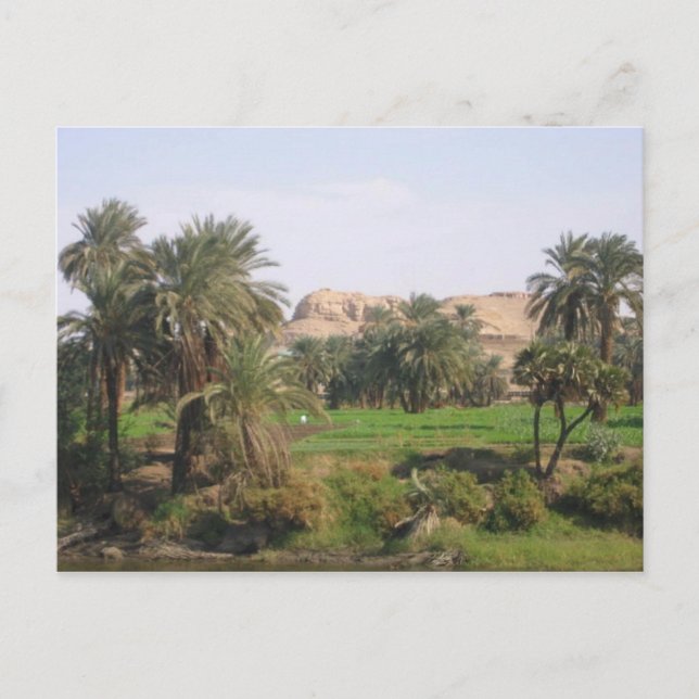 Egyptian Landscape Postcard (Front)