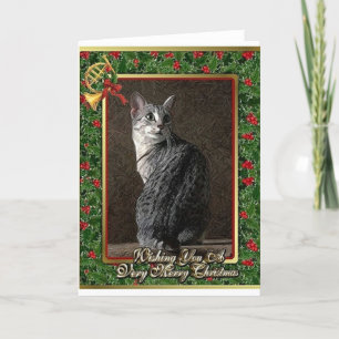 Egyptian Mau Cat Blank Christmas Card