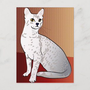 Egyptian Mau Cat - bronze background Postcard