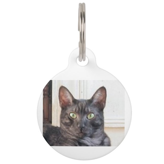 egyptian mau pet tag (Front)