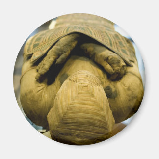 Egyptian Mummy Magnet