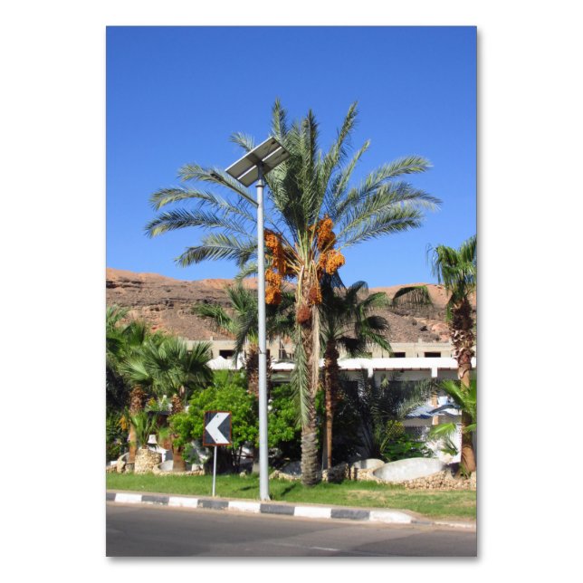 Egyptian palm trees  table number (Front)