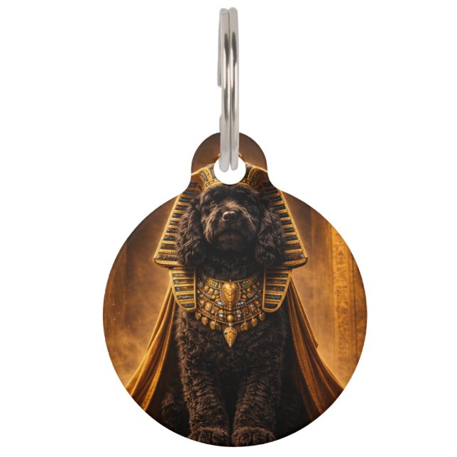 Egyptian Pharaoh Black Cockapoo Pet Tag (Front)