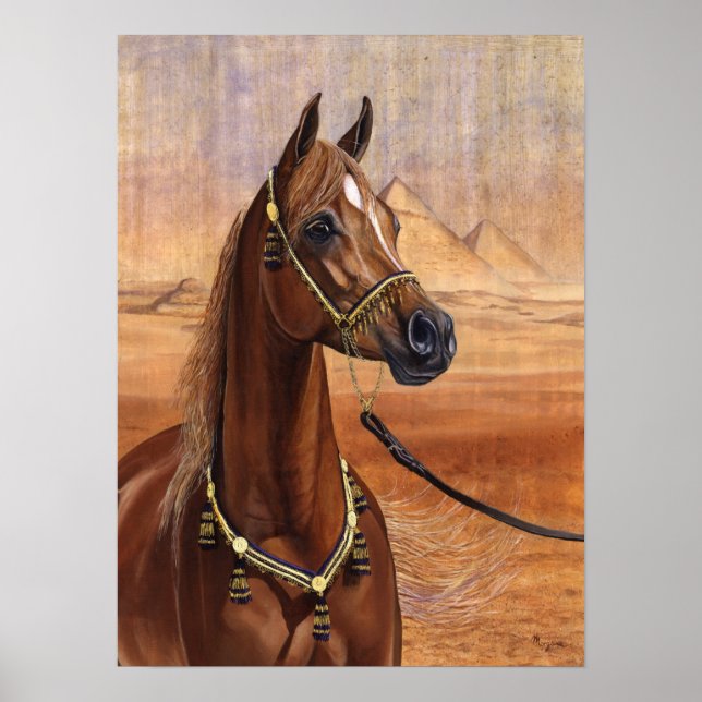 Egyptian Princess Arabian horse poster ALL SIZES (Front)