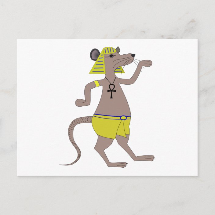 Egyptian Rat Postcard Zazzle.co.uk