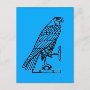 Egyptian Symbol: Falcon Postcard