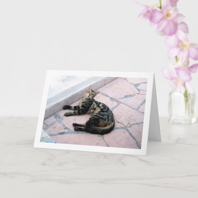 Egyptian Wild Cat Card (Orchid)