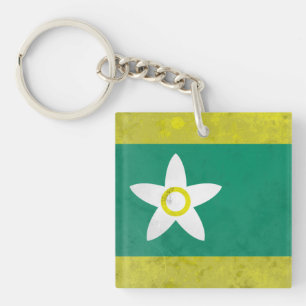 Ehime prefecture  key ring