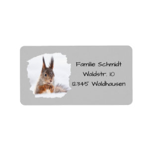 Eichhörnchen im Schnee - grau   Label