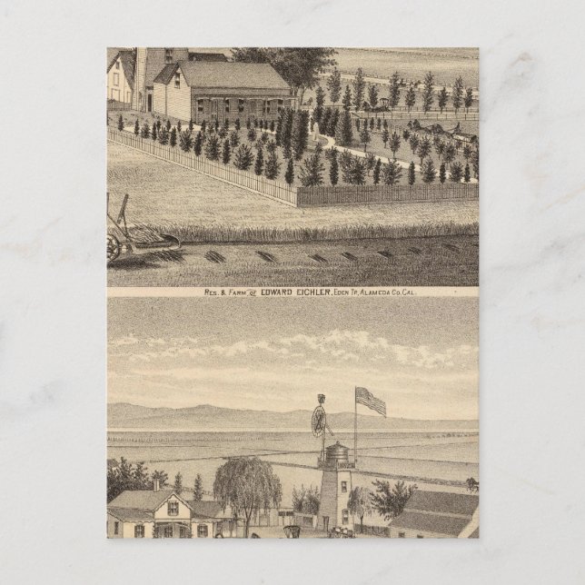 Eichler, Meyer residences Postcard (Front)