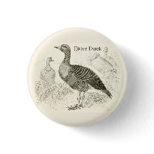 Eider Duck Button