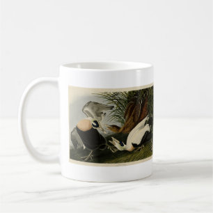 Eider Duck, Common Eider, Audubon Birds of America Coffee Mug
