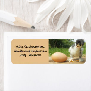 Eierverkaufsschild mit Kücken und Hühnerei Label
