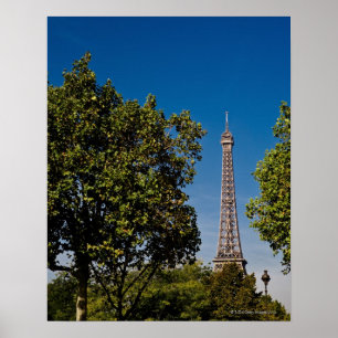 Eiffel Tower and trees, Paris, france Poster