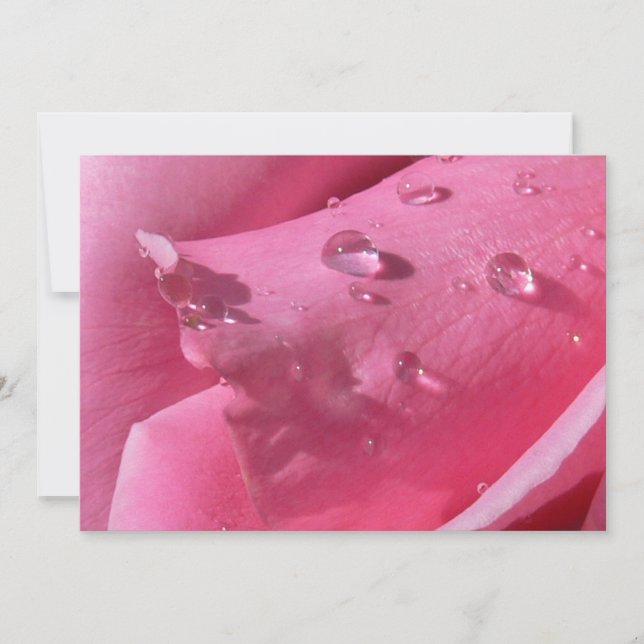 Eiffel Tower Rose Notecard (Front)