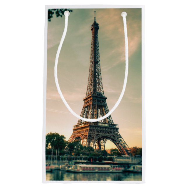 Eiffel tower throw pillow small gift bag (Front)