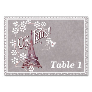 Eiffel Tower White Daisy Flowers Fancy Border Grey Table Number