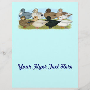 Eight Call Ducks Flyer