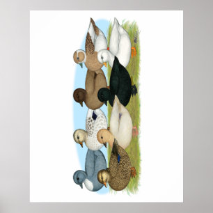 Eight Call Ducks Poster