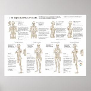 Eight Extraordinary Acupuncture Meridians Poster