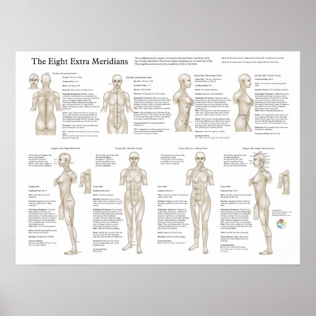 Eight Extraordinary Acupuncture Meridians Poster (Front)