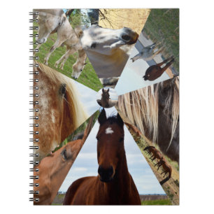 Eight Horse Triangles, Notebook