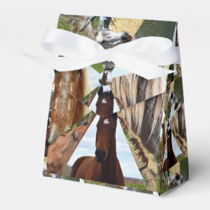 Eight Horse Triangles, Party Favour Box