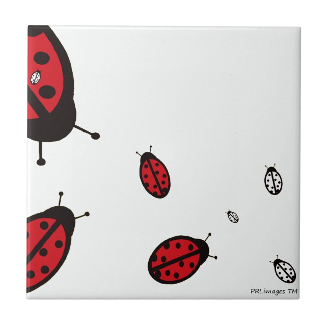 Eight Ladybugs On White Tile (Front)