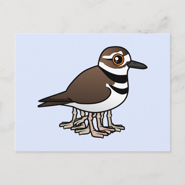Eight-legged Killdeer Postcard (Front)