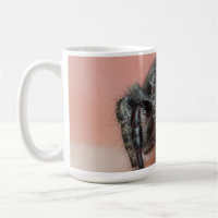 Eight-Legged Love: Bold Jumper Spider Merch