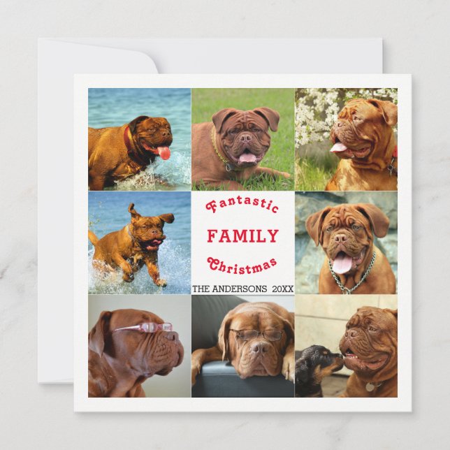 Eight Photo Family Christmas Spectacular (Front)