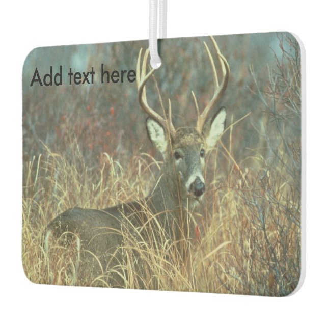 Eight Point Buck in the Grass Car Air Freshener (Left)