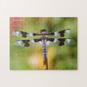 Eight-Spotted Skimmer Dragonfly Jigsaw Puzzle