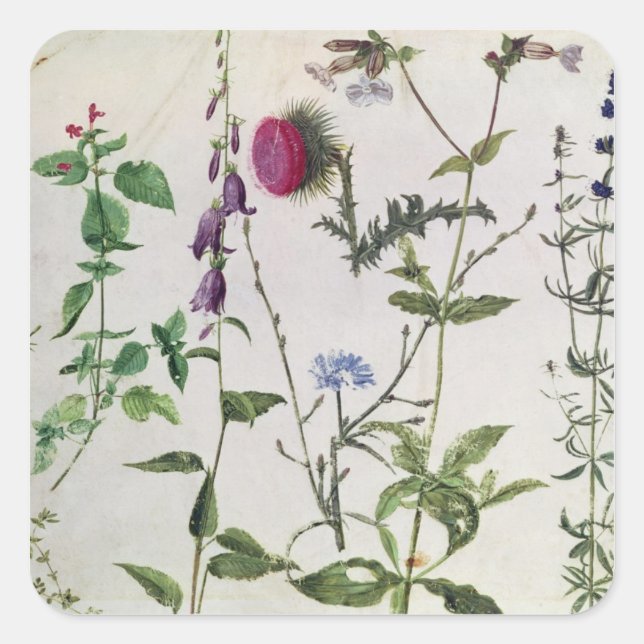 Eight Studies of Wild Flowers Square Sticker (Front)