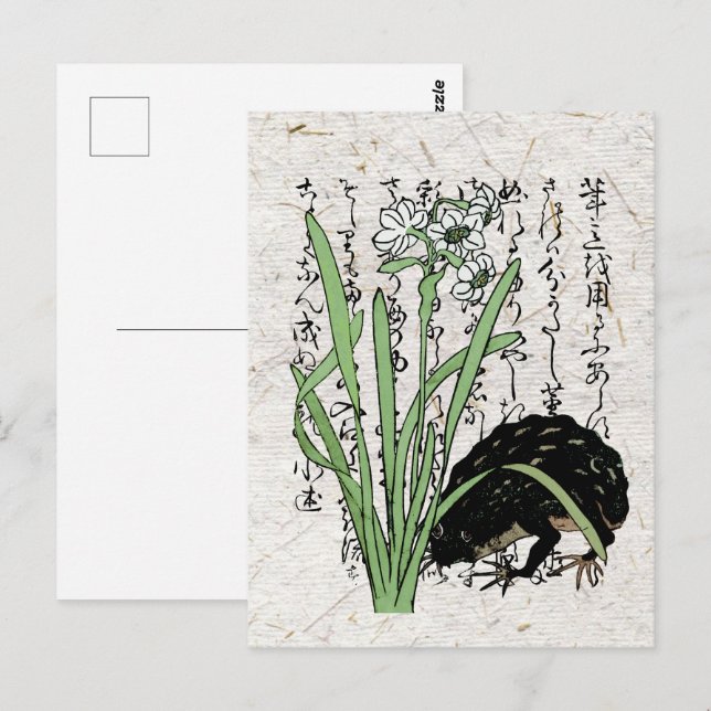 Eighteenth Century Japanese Botanical Frog Toad  Postcard (Front/Back)