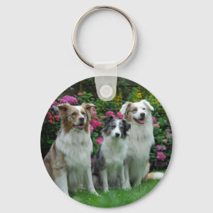 ein Border Collie, blue-merle, und zwei Australia Key Ring