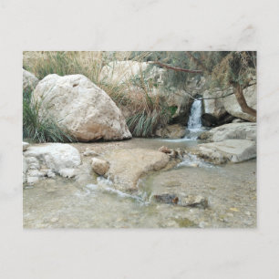 Ein Gedi Nature Reserve, Israel Postcard