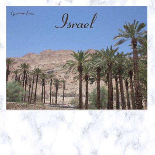 Ein Gedi Southern District Israel Postcard (Creator Uploaded)