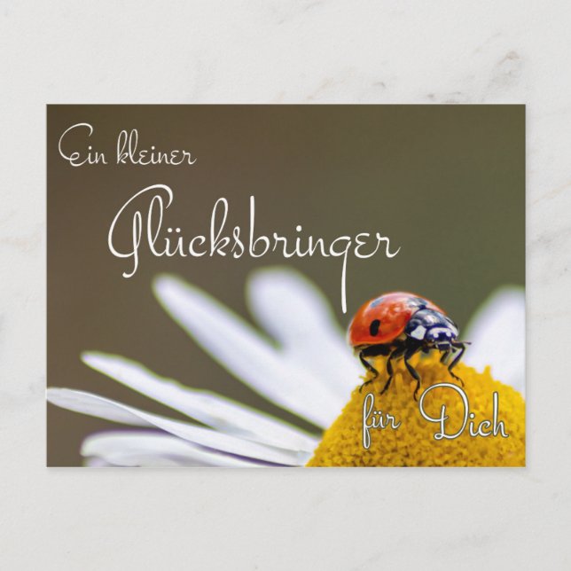 Ein kleiner Glücksbringer für Dich mit Marienkäfer Postcard (Front)